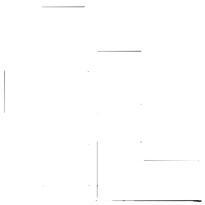 IT Løsninger Logo